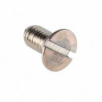 Fracino  Shower Screen Screw M5 x 12mm - FC103S