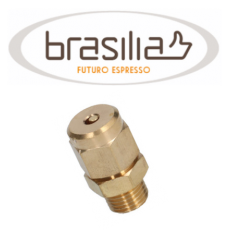 Brasilia Anti Vacuum Valves