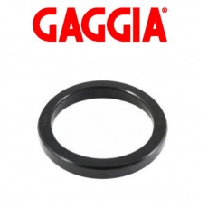 Gaggia Group Seals & Shims 