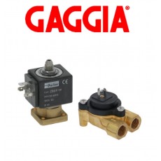 Gaggia Solenoid Valves & Flow Meters 