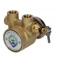 Rotoflow Rotary Vane Pump Rotoflow 3/8 - 200 Litres  PO204