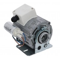 Brasilia Pump Motor 165 watt 11053704 - 99006.4.00.08