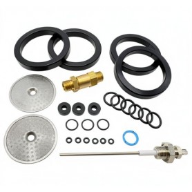 Gaggia D90 and Evo 2 Group Service Kit ESL