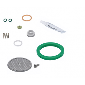 Rancilio Silvia Maintenance Service Kit - Versions 3 and 4 