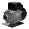 Fracino External Pump Motor Fracino External Pump Motor